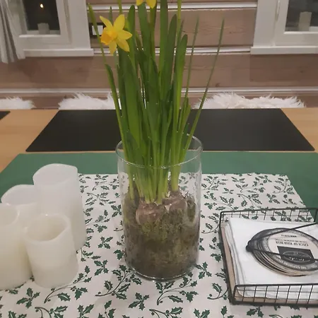 Holiday home Horska Roubenka Frantisek Kviz Dolni Dvur