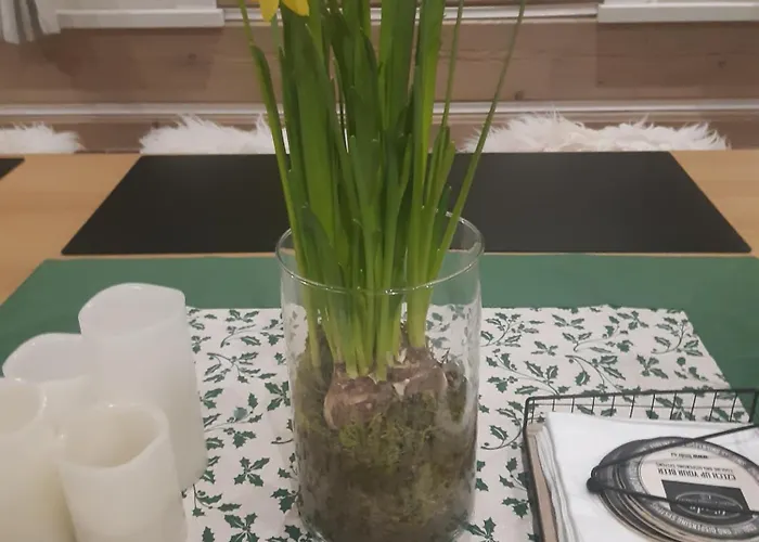 別荘 Horska Roubenka Frantisek Kviz Dolni Dvur